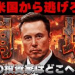【※ドルがヤバイ】今資金はどこへ移動している？イーロンの『ビットコインは優秀』の真意は？【米国株投資・仮想通貨】