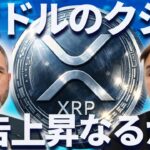 【リップル速報】2億ドルのクジラが参入!?リップル逆転上昇なるか？