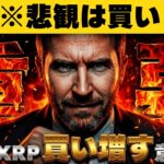 【※マジかよ。プロ投資家43%がXRPを狙う】仮想通貨ニュース