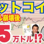 大暴落の“その後”がヤバすぎる…ビットコイン75万ドルシナリオが現実に！？
