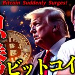 ビットコイン急騰！何が起きた？トランプ大統領が極秘会談していた！衝撃速報ニュース！【ドル建てチャート分析】【Bitcoin Suddenly Surges】