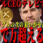 『リップル革命』リップルCEOがテレビで語る、次の上昇の目安について。