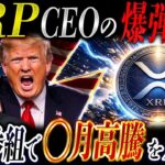 【爆弾発言】Ripple CEOが米番組で明言…XRPは○月に動く可能性(リップル最新情報)