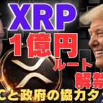 【確定】SECと政府の強力タッグ…XRP“1億円ルート”解禁の全貌