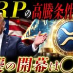 ✨リップル朗報✨クラリティ法案よりヤバい材料が出ました。すぐに見て下さい【XRP最新情報】