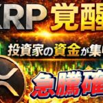 リップルの高騰材料がやばい。XRP調整後の上げに備えろ‼️