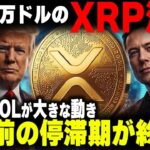 XRP(リップル)上昇気流へ乗る手前、プロ投資家が見ている次の視点とは？【暗号資産　最新情報】