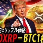 🚨リップル暴露🚨XRP価格が意図的に抑えられてきた証拠、リップル社が認めた⁉️【暗号資産　最新情報】