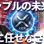 イーロンマスクにリップルは任せろ！XRPの救世主になる！？