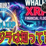 最新【リップルXRP】【衝撃】クジラは知っている！1時間で1,560万XRPを飲み込む「ステルス買い」!