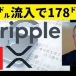 【中堅投資家】XRPは178㌦へ向かい10兆㌦が流入する可能性がある（リップルCEO）