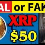 【中堅投資家】XRP：変なニュースとリップルCEOの発言