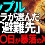 【リップル(XRP)】○月〇日すべてが暴落のXデー？！クジラが選んだ避難先とは！？【仮想通貨】