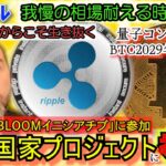 リップル（XRP)遂に国家プロジェクトに入り込む！シンガポール中央銀行イベントに参加！量子コンピューターにXRPは負けないシステムに！辺野古基地抗議船の事件がやばすぎ。