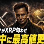 【緊急】確実にXRPの事を指している、ある匂わせがXRP高騰予言か？【暗号資産　最新情報】