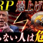 緊急❗️XRP相場の裏側で異変発生。今気づけない人は遅れます【リップル最新情報】#xrp #crypto