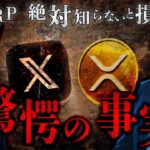 ⚠️XRPリップルホルダー要チェック‼️⚠️【著名人が言及してる銘柄は全て上昇してました！今後再来が起きます!!それは都市伝説ではなく真実へ‼️#xrp #ripple #仮想通貨 #bitcoin