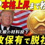 ⚠️XRP保有者へ警告⚠️《価格破壊の決定的証拠が出ました》【リップル最新情報】#xrp #ripple #bitcoin #仮想通貨 #ethereum
