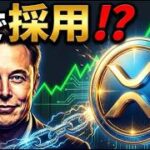 【最新】イーロン・マスクがXマネーでXRP採用？リップル価格の今後を徹底解説