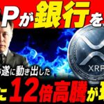 Xの金融参入で何が起きるのか。XRPに追い風の理由【リップル最新情報】#xrp #ripple #xrpnews #仮想通貨 #bitcoin
