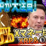 🟥今見ないと”大損”不可避🟥Xマネー開始前に知っておくべきこと。#xrp #リップル #暗号通貨