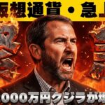 【※緊急！上昇はなぜ起きた】【リップルにクジラとプロ投資家が！】