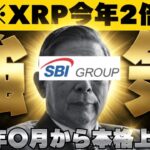 【※衝撃！本格上昇はまだ？リップルはどうなる？】【仮想通貨最新ニュース】