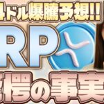 【リップル衝撃】AIが出したXRP価格予測！その裏で密かに進行する大口投資家「クジラ」の罠と、仕組まれた価格操作の真実を徹底解説