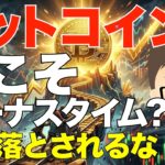 ビットコイン（BTC）！今こそボーナスタイム？〜乱高下しても絶対に振り落とされるな！惑わされるな！