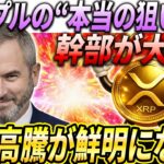 Rippleの“本当の狙い”がリップル幹部により明らかとなった…#xrp #リップル #暗号通貨