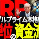 リップル重要情報!!Rippleプライム本格稼働でXRP爆上げは秒読みか!?#仮想通貨#リップル#暗号資産#XRP