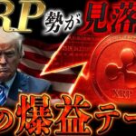 ⚠️XRPホルダーに警告⚠️ 〇〇相場を無視すると置いていかれます❗️【リップル最新情報】