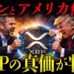 【リップル速報】XRPホルダー全員集合。中東マネーが選んだ“裏の本命”【暗号資産　最新情報】