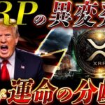 ⚠️XRPに異変発生⚠️ 4月が運命の分岐点…知らないと完全に乗り遅れます