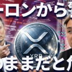 【XRP】イーロンから警告・・・リップルがこのままだと危険に晒される？