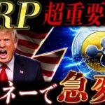 ⚠️XRP保有者に警告⚠️ Xマネーで急変の可能性【リップル最新情報】