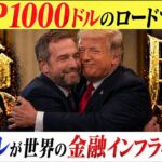 XRP1000ドル本当にあり得るぞ！リップルの裏側で“金融システムの乗っ取り”が始まる！！
