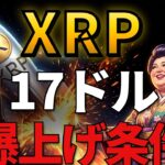 【衝撃】XRP爆上げ？歴代100%的中のアルトシーズン法則が3つ同時に発動したわ