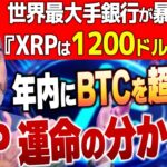 【XRPが1200ドルへ進化する】リップル価格の大暴露により急騰確定‼️【暗号資産　最新情報】