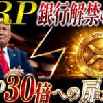 ✨XRP速報✨銀行解禁の真相が判明…30倍シナリオが現実味を帯びてきました❗️【リップル最新情報】