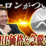 【見なきゃ損】XRPが4月中に歴史的上昇を起こす。イーロンがついにリップルのために動く‼️【暗号資産　最新情報】