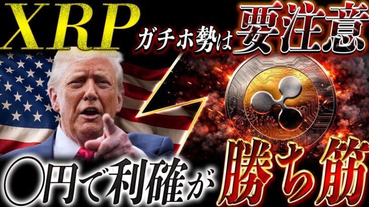 ⚠️リップルガチホ勢要注意⚠️XRPで5000万を狙うなら知らないと危険な利確戦略【仮想通貨最新情報】