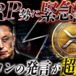 XRP勢が知らないAI銘柄。バイナンスアルファ上場で急展開❗️急いで見て下さい❗️【リップル最新情報】