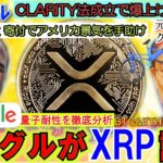 リップル（XRP)をグーグルがトップ評価！BTC、ETH超え！RLUSDが米国雇用を救う！CLARITY法が成立でXRPは飛ぶ！！！岸田総理と自転車が酷い!
