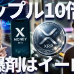 【XRP】イーロンがリップルCEOが裏で繋がっている？X決済導入でチャンス？