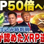 【究極の二択】XRPを信じて待つか、XRPを売るか。後悔したくない人だけ見てください【暗号資産　最新情報】