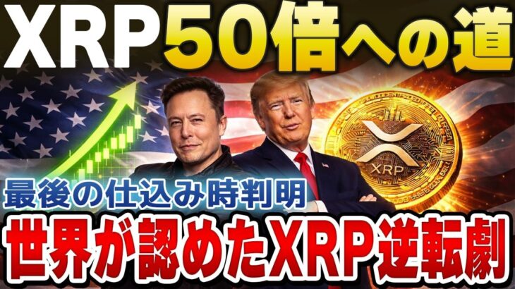 【究極の二択】XRPを信じて待つか、XRPを売るか。後悔したくない人だけ見てください【暗号資産　最新情報】