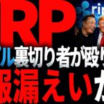 リップル重要情報!!XRPの共同創設者が独自路線でXRPと共に共同で道を切り拓いていく件について徹底解説【スクープ!!】