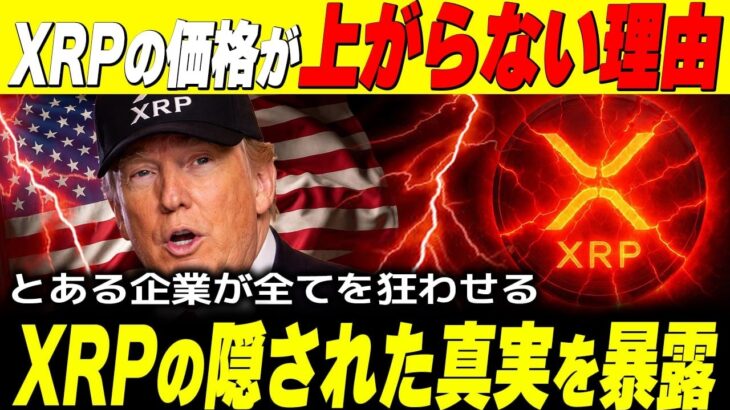 ⚠️XRPがオワコン？⚠️【リップル社買収のニュースは実はフェイクだった】価格が上がらない理由見えました‼️《リップル最新情報》#xrp #仮想通貨 #ripple #bitcoin #