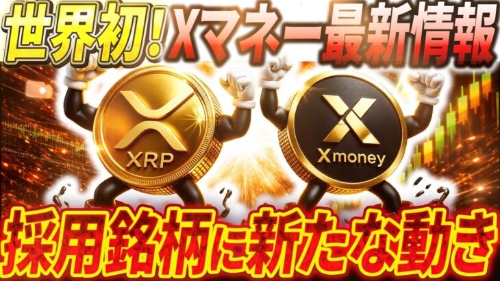 🟡Xマネー最新情報🟡Xマネー採用銘柄を保有している方…少し待ってください#xrp #リップル #暗号通貨